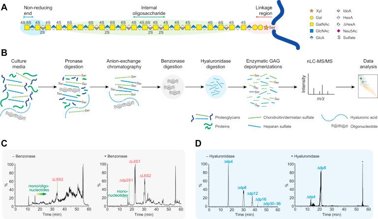 https://cdn.ncbi.nlm.nih.gov/pmc/blobs/eac3/8724862/513c87bbde46/gr1.jpg