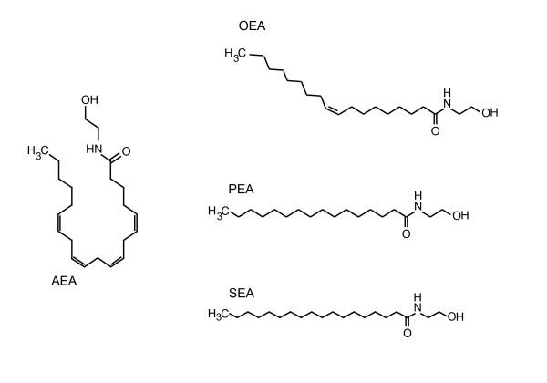 https://cdn.ncbi.nlm.nih.gov/pmc/blobs/eac5/2894840/d4ea5bfb1e9c/1743-7075-7-49-1.jpg