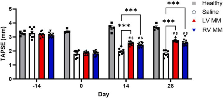 https://cdn.ncbi.nlm.nih.gov/pmc/blobs/eac6/10978413/2e77cf533c8a/gr1.jpg