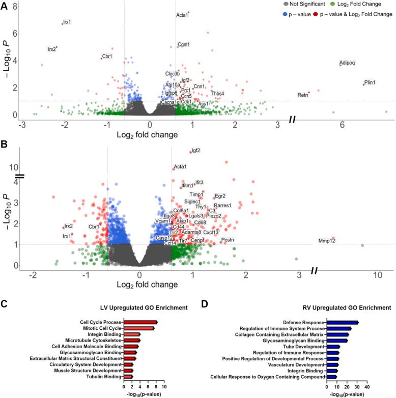 https://cdn.ncbi.nlm.nih.gov/pmc/blobs/eac6/10978413/dfd39e919177/gr4.jpg
