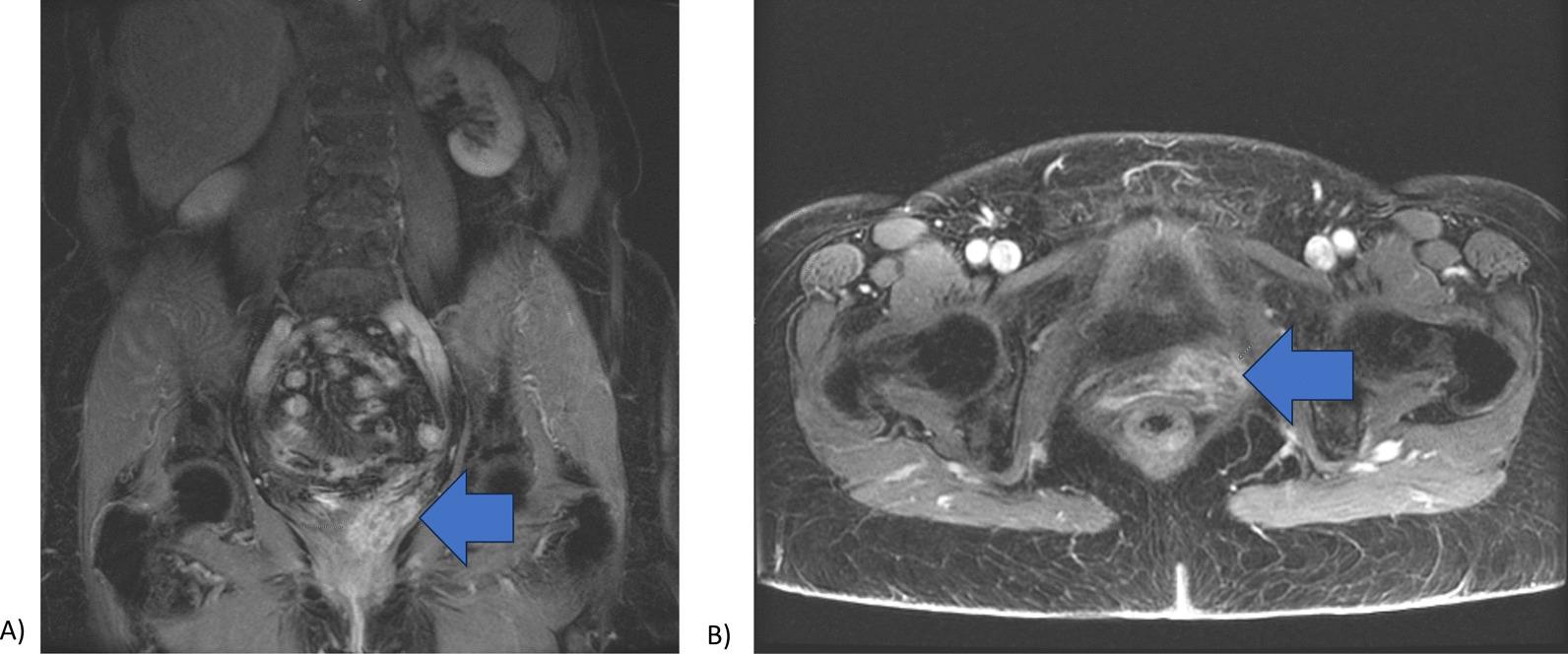 https://cdn.ncbi.nlm.nih.gov/pmc/blobs/eac7/10614416/0da9801987b1/13256_2023_4192_Fig2_HTML.jpg