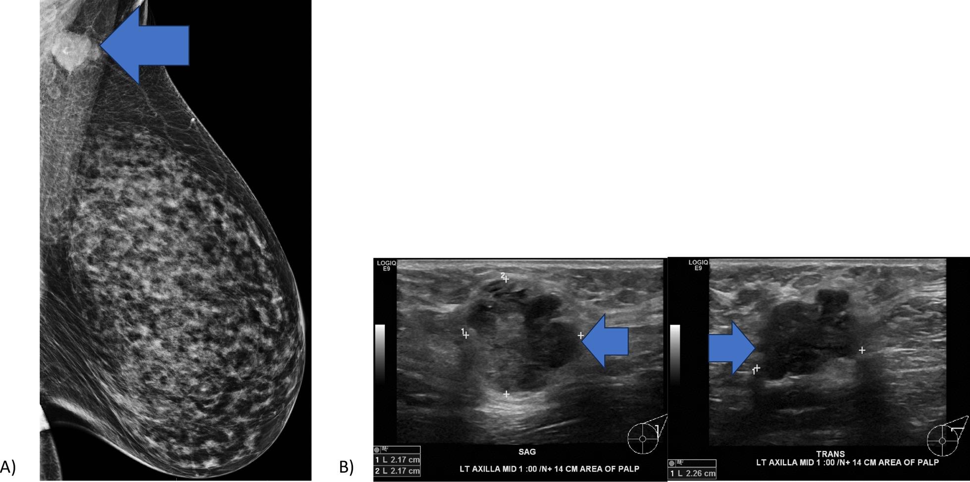 https://cdn.ncbi.nlm.nih.gov/pmc/blobs/eac7/10614416/3e1e6ed1b9bc/13256_2023_4192_Fig3_HTML.jpg
