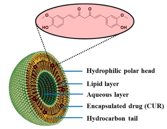 https://cdn.ncbi.nlm.nih.gov/pmc/blobs/eac8/7180689/03519d0d6c8c/molecules-25-01605-g012.jpg