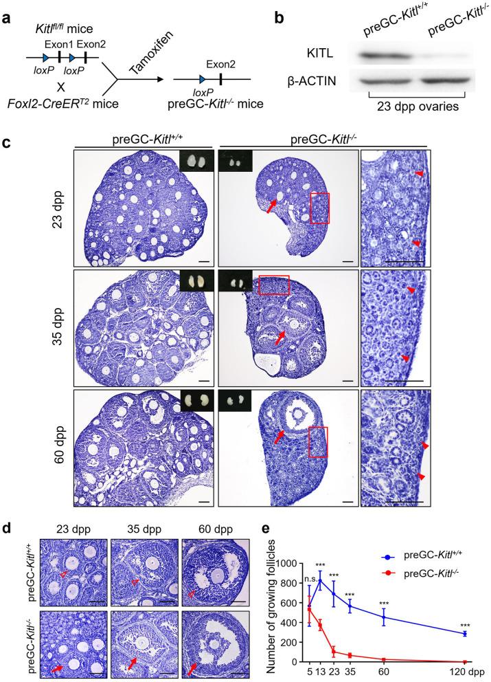 https://cdn.ncbi.nlm.nih.gov/pmc/blobs/eac8/9101839/0149225e65b1/12915_2022_1318_Fig1_HTML.jpg