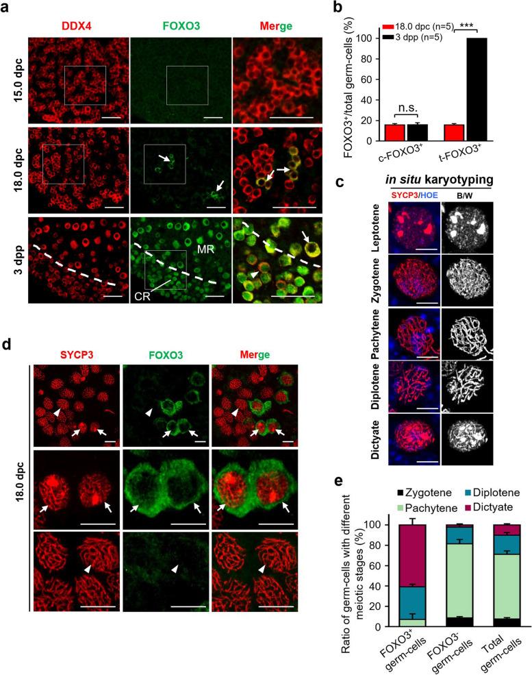 https://cdn.ncbi.nlm.nih.gov/pmc/blobs/eac8/9101839/07cd6d871363/12915_2022_1318_Fig3_HTML.jpg