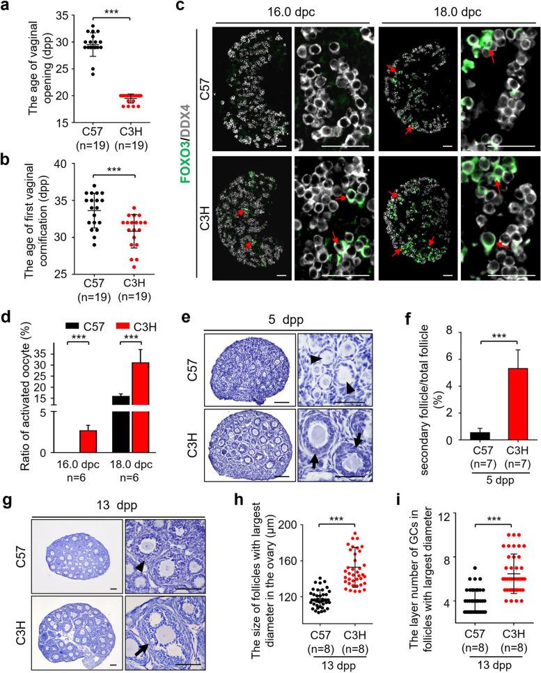 https://cdn.ncbi.nlm.nih.gov/pmc/blobs/eac8/9101839/6ce25dfd9dc6/12915_2022_1318_Fig4_HTML.jpg