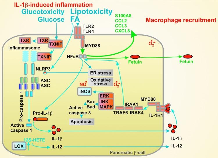 https://cdn.ncbi.nlm.nih.gov/pmc/blobs/eaca/6708273/71bb9d440bd9/fig-5.jpg