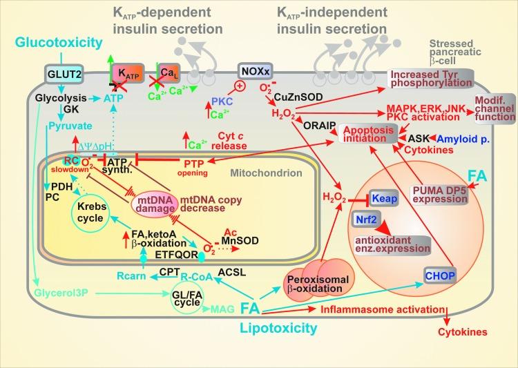 https://cdn.ncbi.nlm.nih.gov/pmc/blobs/eaca/6708273/8a1b284f7ef2/fig-4.jpg