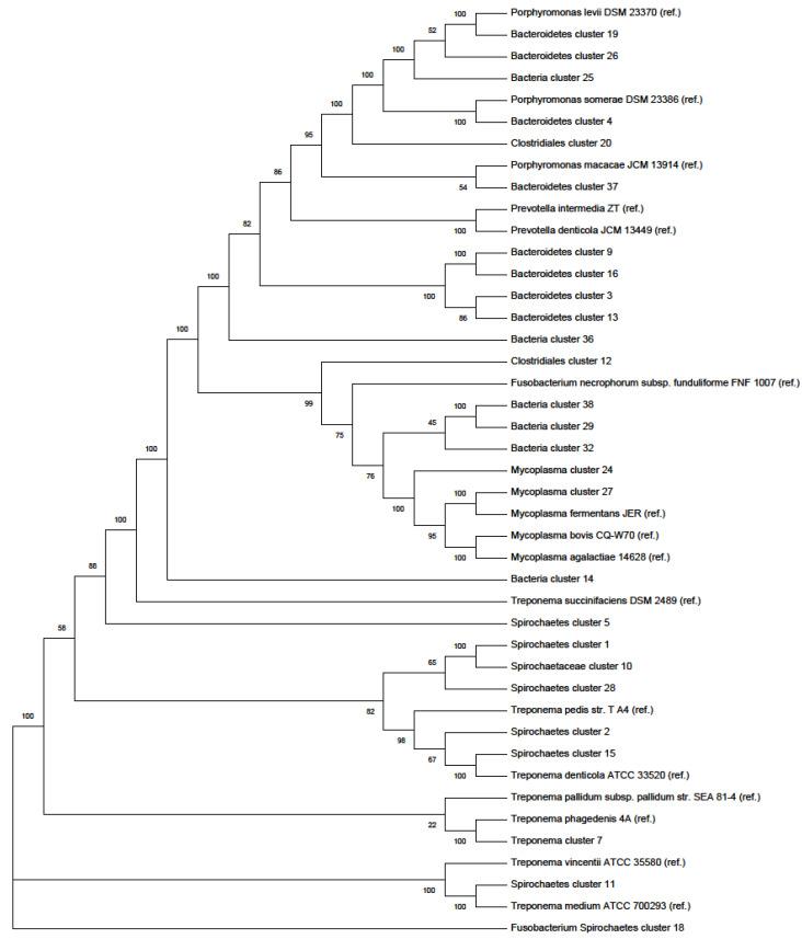 https://cdn.ncbi.nlm.nih.gov/pmc/blobs/eaca/7926801/2713aa0573c4/antibiotics-10-00221-g001.jpg