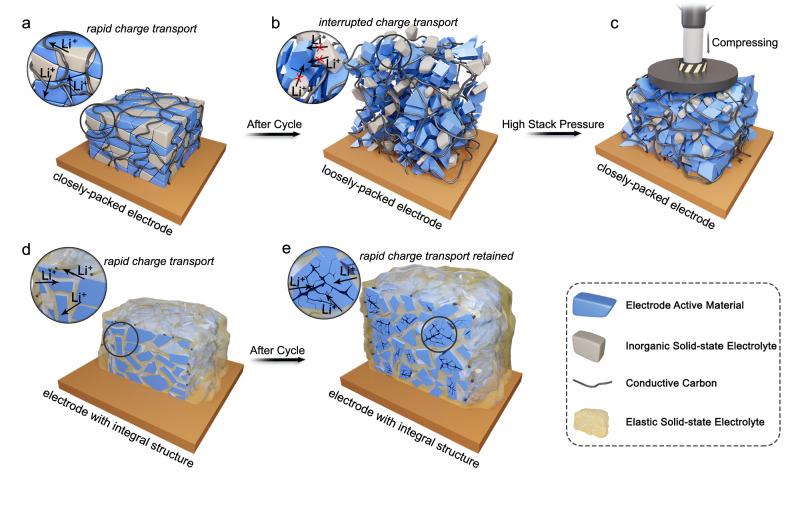 https://cdn.ncbi.nlm.nih.gov/pmc/blobs/eacb/10937906/6a5accbf63c4/41467_2024_46472_Fig1_HTML.jpg