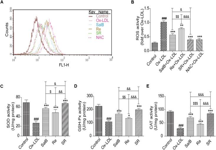 https://cdn.ncbi.nlm.nih.gov/pmc/blobs/eacc/6019702/dd4629d56653/fphar-09-00662-g007.jpg