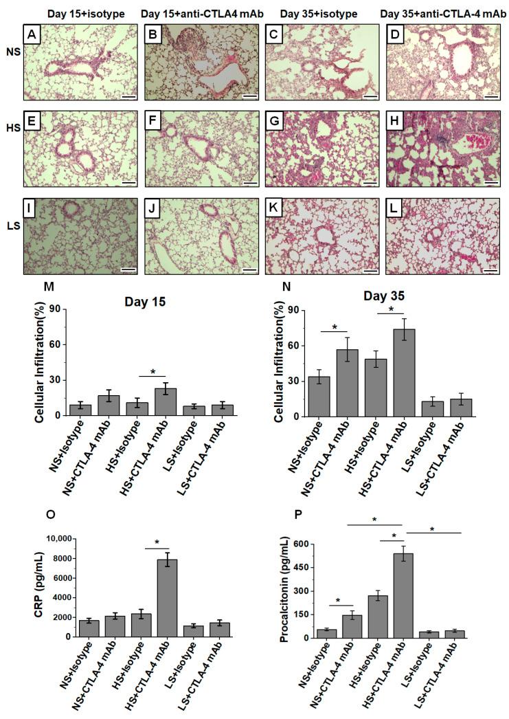 https://cdn.ncbi.nlm.nih.gov/pmc/blobs/eacc/9219826/15385214a648/biology-11-00810-g003.jpg