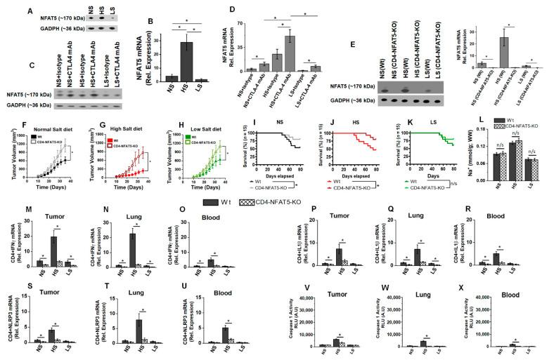 https://cdn.ncbi.nlm.nih.gov/pmc/blobs/eacc/9219826/3f3ef66123b1/biology-11-00810-g006.jpg