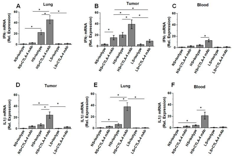 https://cdn.ncbi.nlm.nih.gov/pmc/blobs/eacc/9219826/473d720f9365/biology-11-00810-g004.jpg