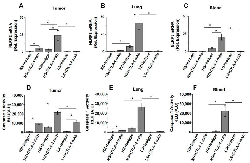 https://cdn.ncbi.nlm.nih.gov/pmc/blobs/eacc/9219826/4a594370189b/biology-11-00810-g005.jpg
