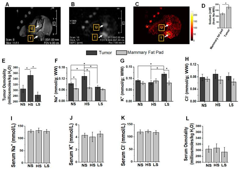 https://cdn.ncbi.nlm.nih.gov/pmc/blobs/eacc/9219826/66873e7b36dc/biology-11-00810-g001.jpg