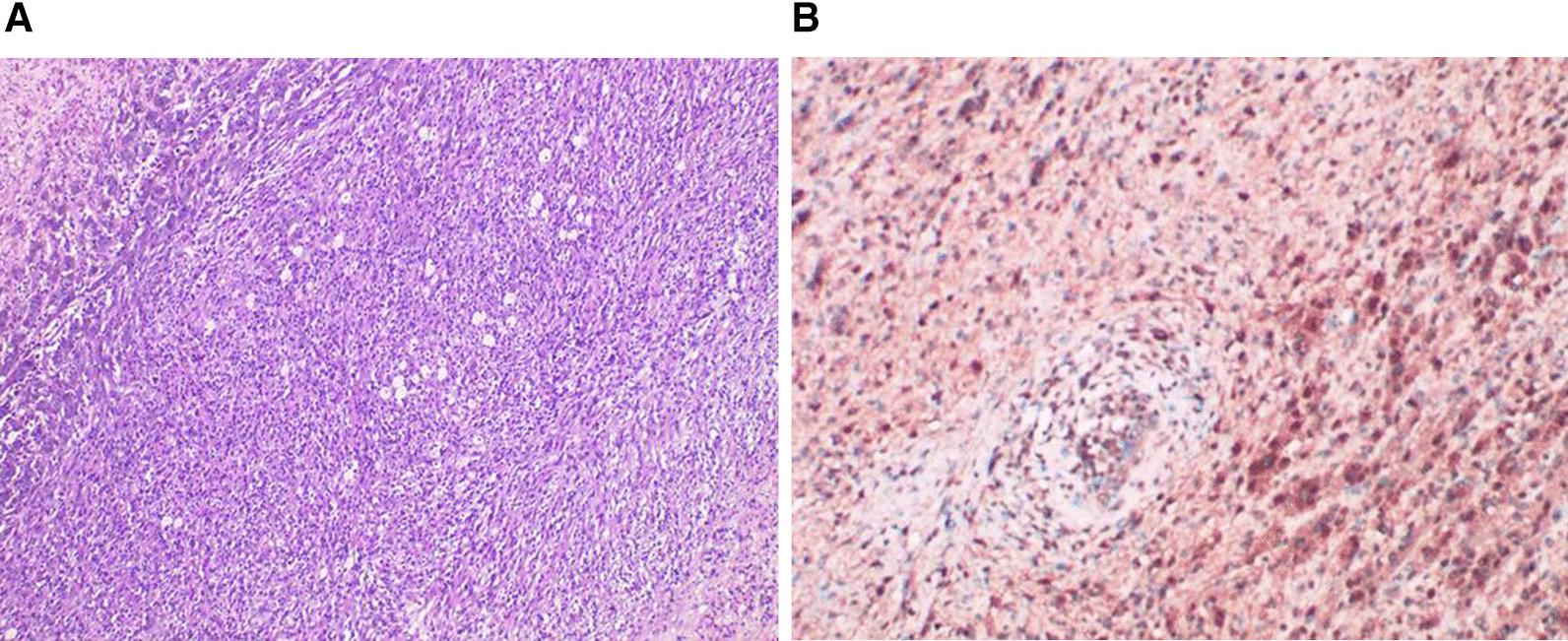 https://cdn.ncbi.nlm.nih.gov/pmc/blobs/eacd/9277816/3703176ffb35/12894_2022_1058_Fig3_HTML.jpg