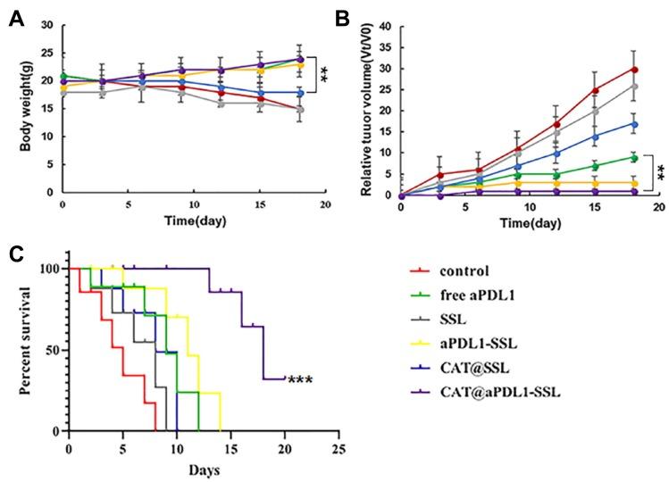 https://cdn.ncbi.nlm.nih.gov/pmc/blobs/eace/7082626/2441019f68c9/IJN-15-1677-g0008.jpg