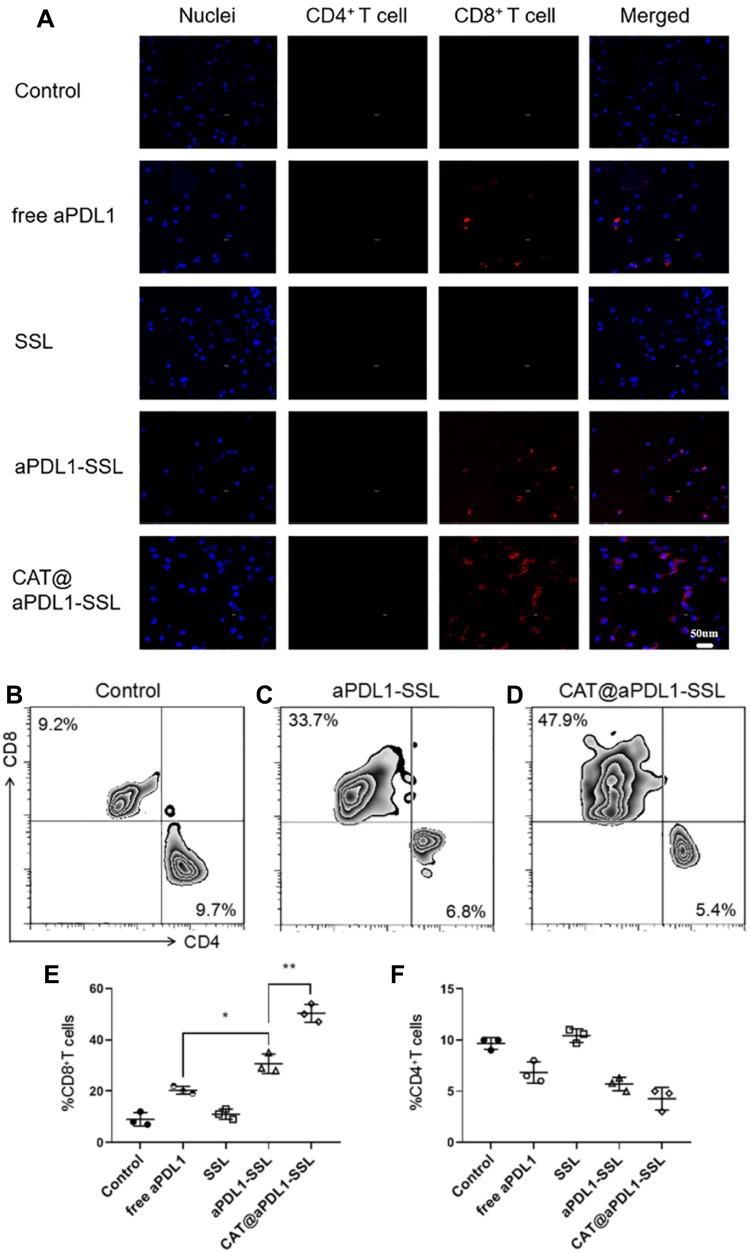 https://cdn.ncbi.nlm.nih.gov/pmc/blobs/eace/7082626/779f5dc5cf86/IJN-15-1677-g0007.jpg