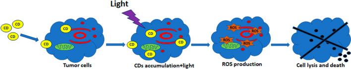 https://cdn.ncbi.nlm.nih.gov/pmc/blobs/ead0/11300426/f0424b11d55d/11671_2024_4069_Fig5_HTML.jpg
