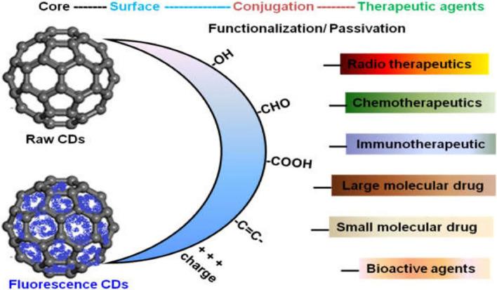 https://cdn.ncbi.nlm.nih.gov/pmc/blobs/ead0/11300426/ff10bc40f291/11671_2024_4069_Fig6_HTML.jpg