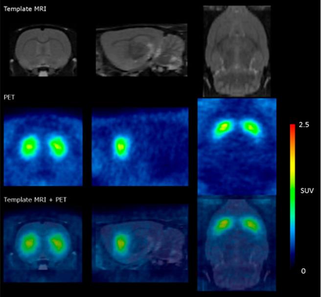https://cdn.ncbi.nlm.nih.gov/pmc/blobs/ead1/10587862/d2cd79f1330e/cn3c00458_0004.jpg