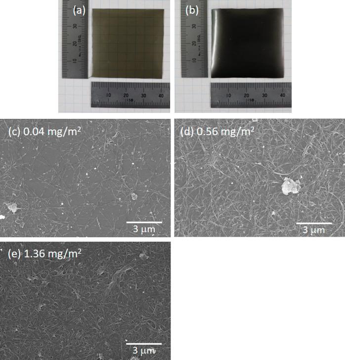 https://cdn.ncbi.nlm.nih.gov/pmc/blobs/ead1/11223208/1d1114e2fa56/ao4c04285_0003.jpg