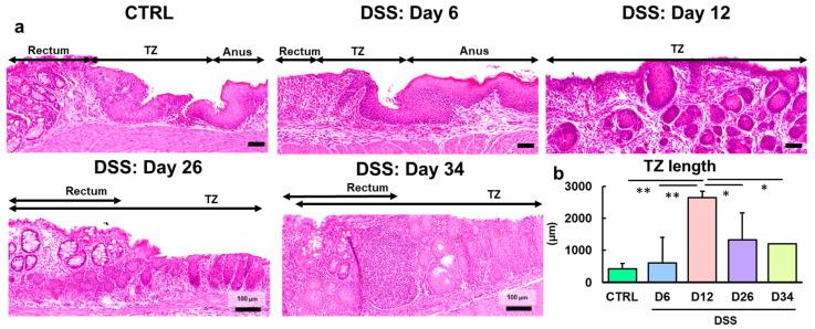 https://cdn.ncbi.nlm.nih.gov/pmc/blobs/ead2/11640979/27abcf5d10bd/ijms-25-12706-g001.jpg
