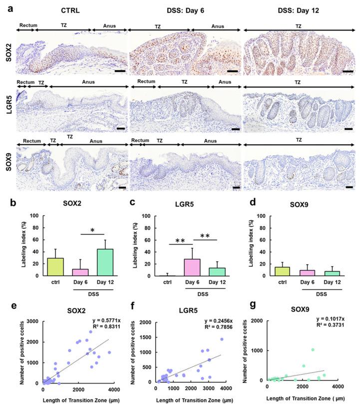 https://cdn.ncbi.nlm.nih.gov/pmc/blobs/ead2/11640979/ac0ea2362035/ijms-25-12706-g003.jpg