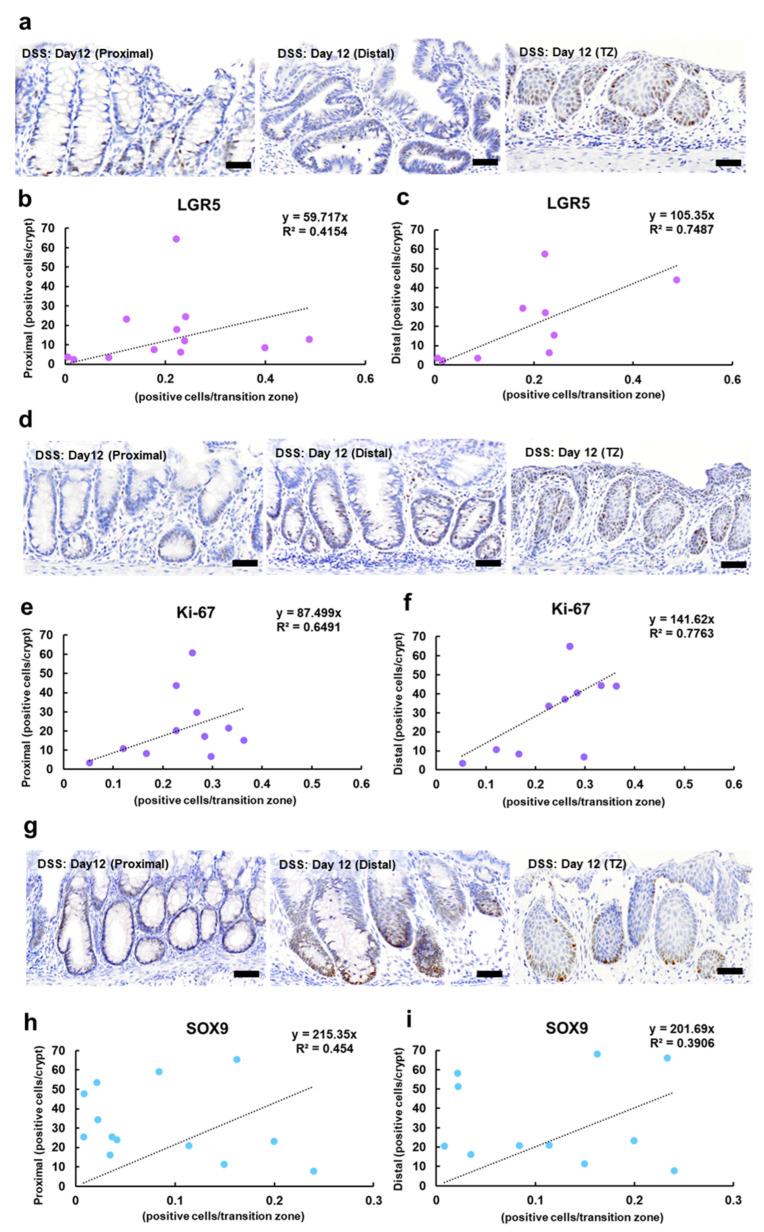 https://cdn.ncbi.nlm.nih.gov/pmc/blobs/ead2/11640979/cd14ad0d9434/ijms-25-12706-g004.jpg