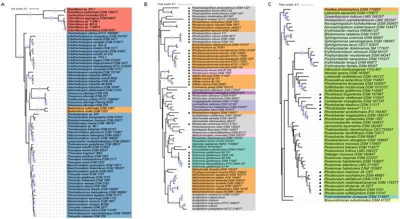 https://cdn.ncbi.nlm.nih.gov/pmc/blobs/ead2/5810265/b23bf0757e81/fmicb-08-02679-g002.jpg