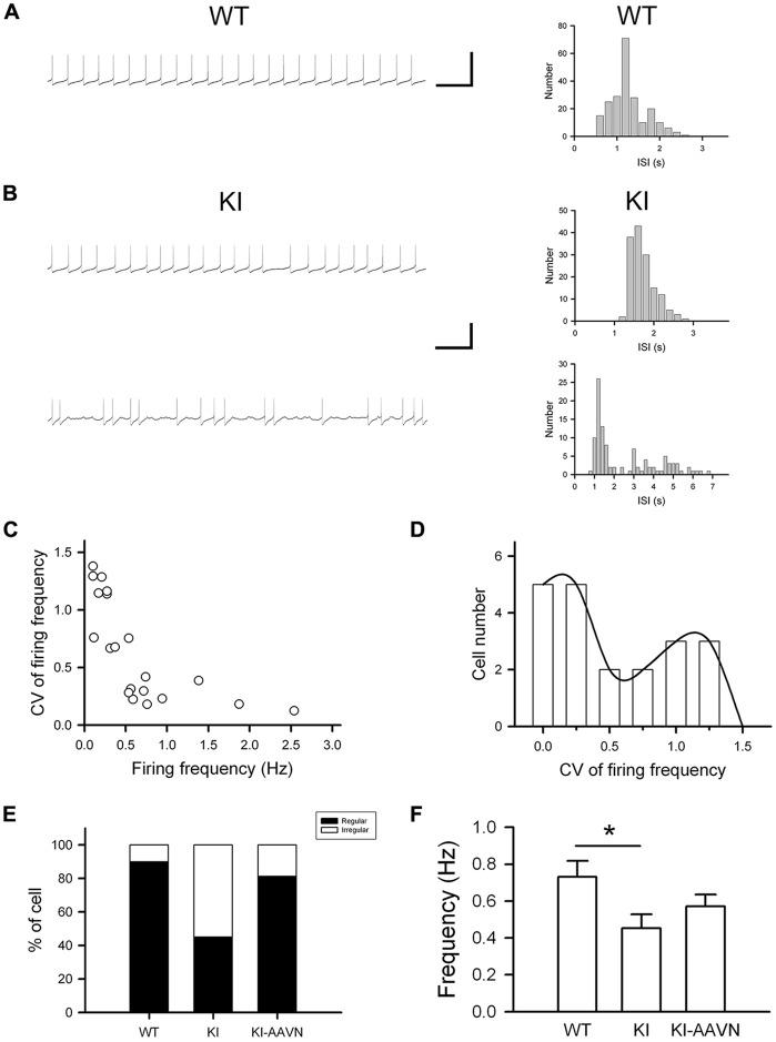 https://cdn.ncbi.nlm.nih.gov/pmc/blobs/ead2/6365702/a3d623d80d3c/fncel-13-00009-g0003.jpg