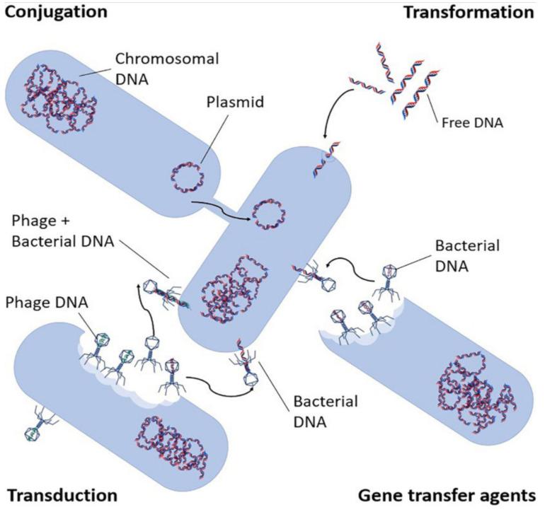 https://cdn.ncbi.nlm.nih.gov/pmc/blobs/ead3/8834887/d101409708d4/ijerph-19-01636-g001.jpg