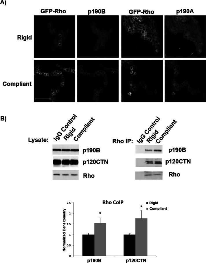 https://cdn.ncbi.nlm.nih.gov/pmc/blobs/ead5/3667722/4995ba5193c9/1688fig2.jpg