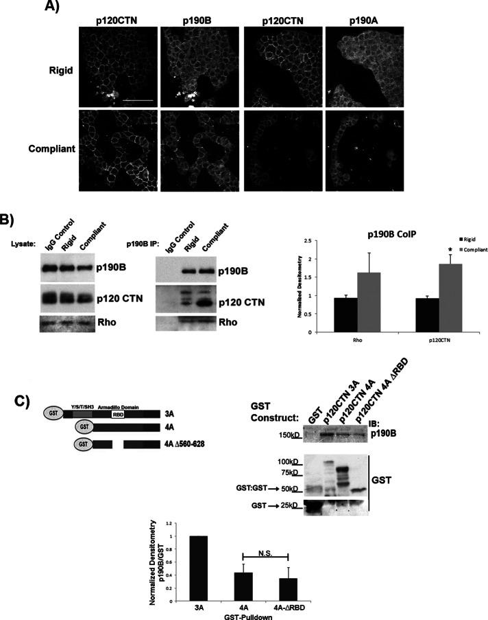 https://cdn.ncbi.nlm.nih.gov/pmc/blobs/ead5/3667722/5edbb537cfcf/1688fig3.jpg