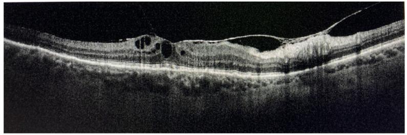 https://cdn.ncbi.nlm.nih.gov/pmc/blobs/ead5/9316395/d59a68dc93f6/medicina-58-00898-g019.jpg
