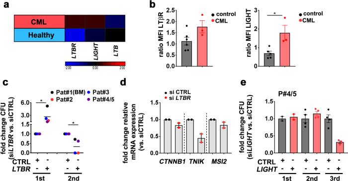 https://cdn.ncbi.nlm.nih.gov/pmc/blobs/ead7/7887212/55be2b6903f8/41467_2021_21317_Fig8_HTML.jpg
