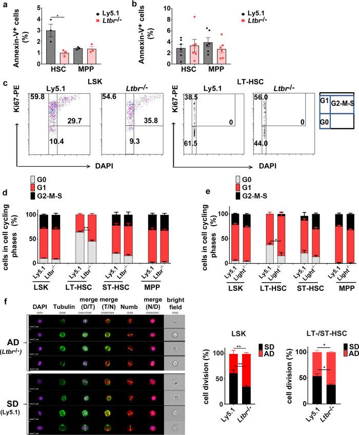 https://cdn.ncbi.nlm.nih.gov/pmc/blobs/ead7/7887212/ca3764ced5ae/41467_2021_21317_Fig4_HTML.jpg
