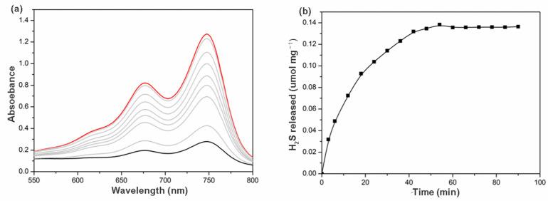 https://cdn.ncbi.nlm.nih.gov/pmc/blobs/ead7/9866194/477adc47ba0a/molecules-28-00852-g004.jpg