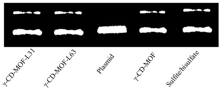 https://cdn.ncbi.nlm.nih.gov/pmc/blobs/ead7/9866194/db3e35f885fc/molecules-28-00852-g006.jpg