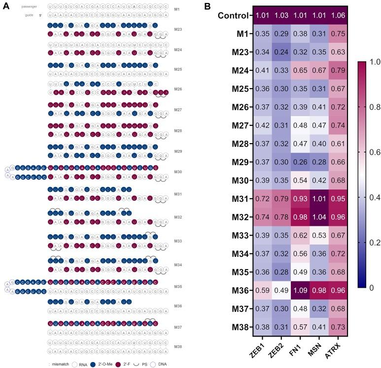 https://cdn.ncbi.nlm.nih.gov/pmc/blobs/ead8/11014349/5ee2a1eed192/gkae141fig4.jpg