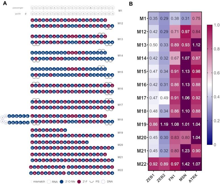 https://cdn.ncbi.nlm.nih.gov/pmc/blobs/ead8/11014349/8101cfc35bb2/gkae141fig3.jpg