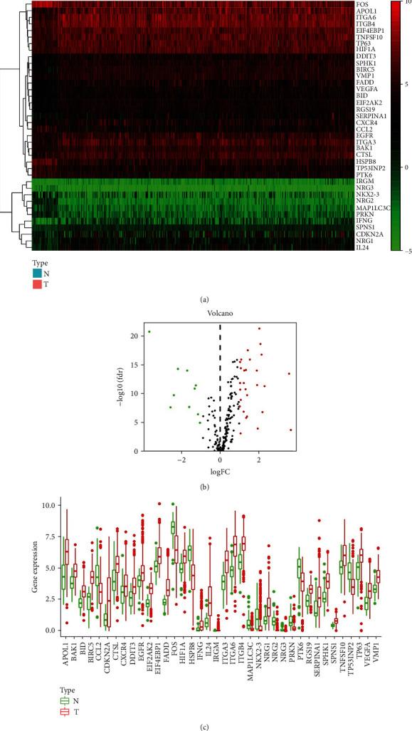https://cdn.ncbi.nlm.nih.gov/pmc/blobs/eadb/7785385/2374b969c4f3/CMMM2020-7397132.002.jpg