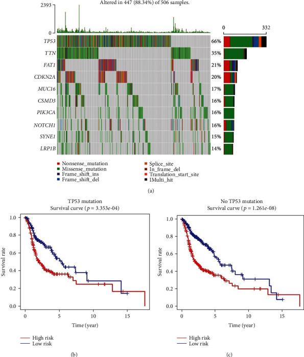 https://cdn.ncbi.nlm.nih.gov/pmc/blobs/eadb/7785385/2407be6483e6/CMMM2020-7397132.012.jpg