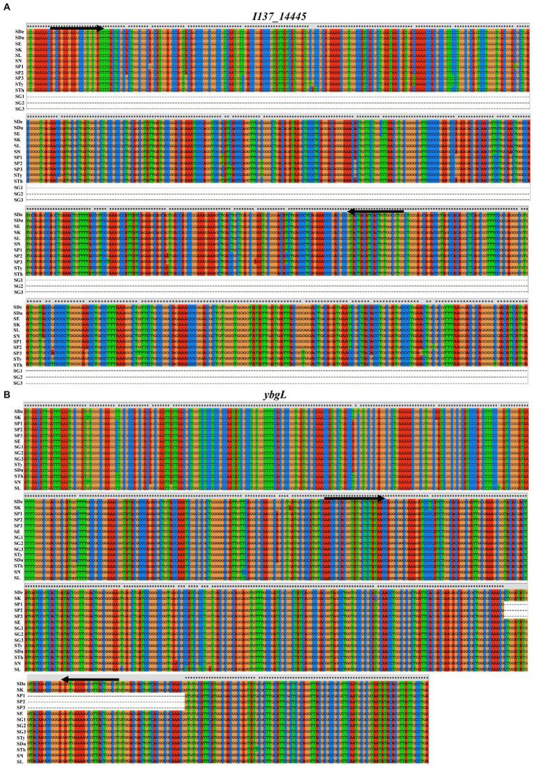 https://cdn.ncbi.nlm.nih.gov/pmc/blobs/eadb/9485580/371e49a89cac/fmicb-13-983942-g001.jpg