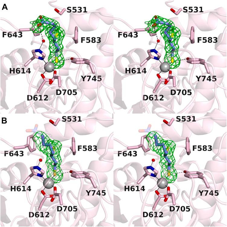 https://cdn.ncbi.nlm.nih.gov/pmc/blobs/eadf/10622836/6c12639e262e/gr2.jpg