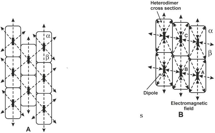 https://cdn.ncbi.nlm.nih.gov/pmc/blobs/eadf/8348406/7626733c1447/ijms-22-08215-g002.jpg