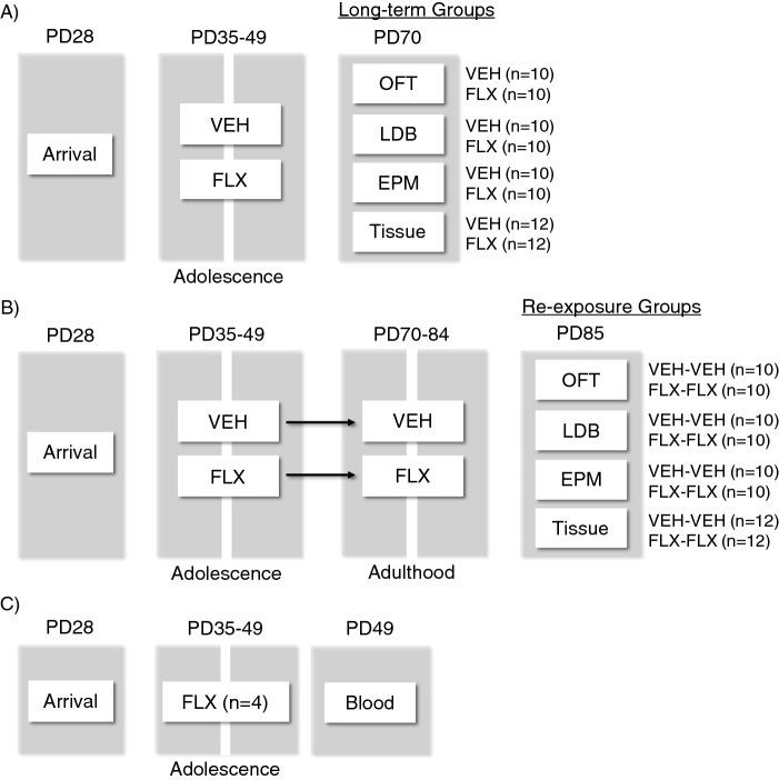 https://cdn.ncbi.nlm.nih.gov/pmc/blobs/eae1/8032660/86467307db60/41598_2021_87378_Fig1_HTML.jpg