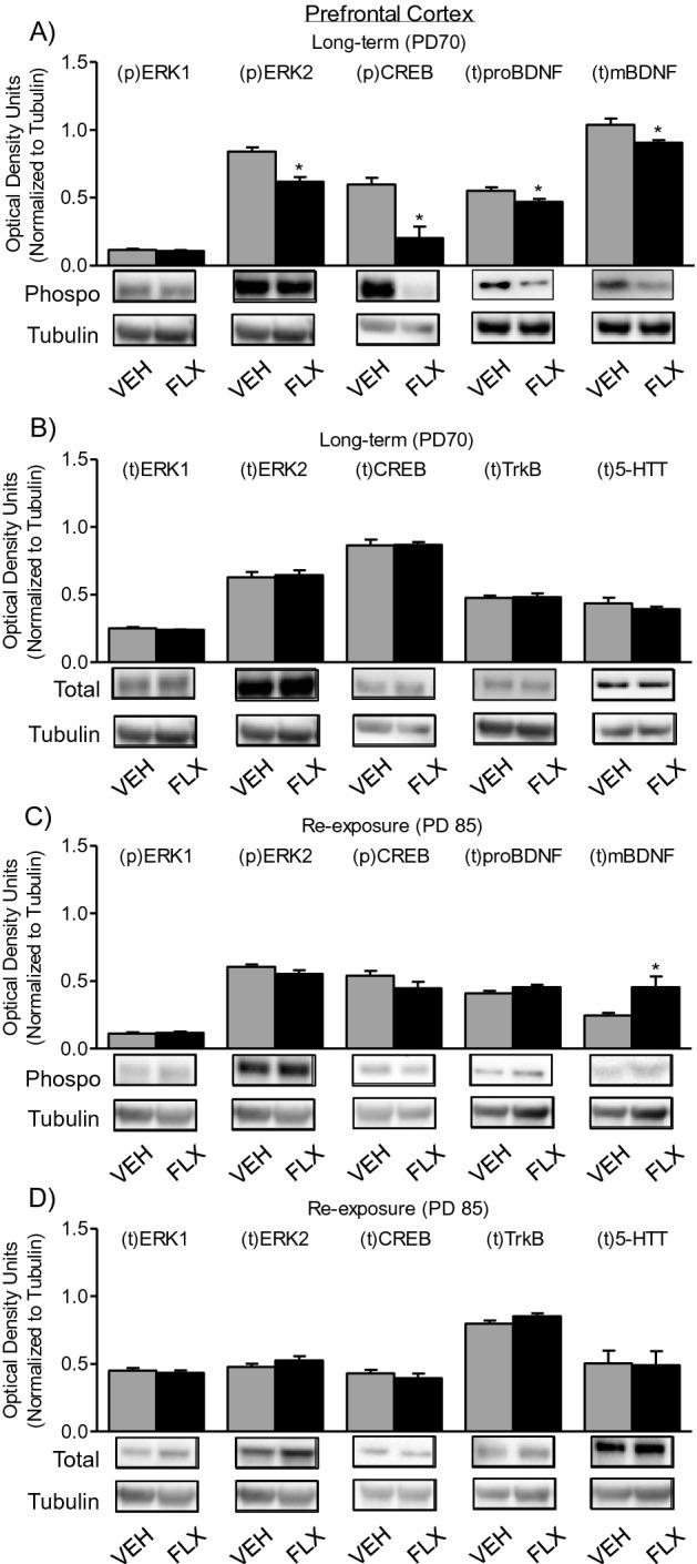 https://cdn.ncbi.nlm.nih.gov/pmc/blobs/eae1/8032660/e5cc623ece11/41598_2021_87378_Fig6_HTML.jpg