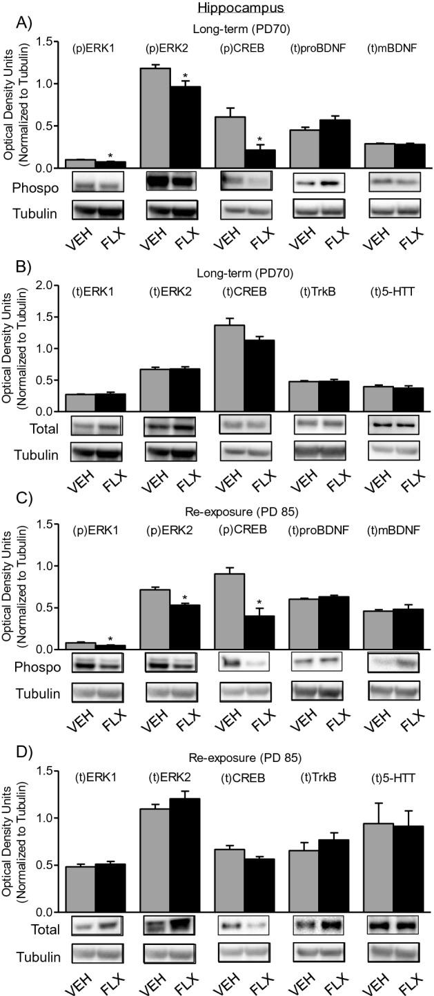https://cdn.ncbi.nlm.nih.gov/pmc/blobs/eae1/8032660/ecab12aced63/41598_2021_87378_Fig5_HTML.jpg